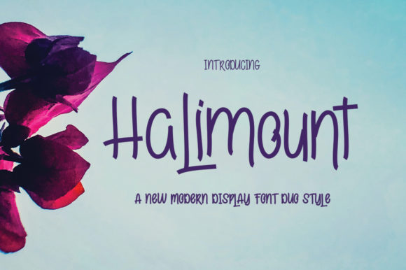 Halimount: A Versatile Display Font for Creative Projects