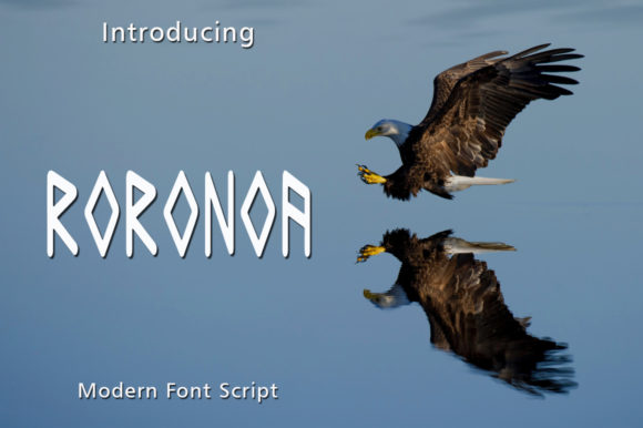 Roronoa: A Font That Celebrates the Beauty of Abstract Shapes